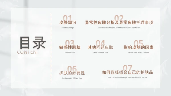 高级灰和棕色简约实拍风美容护肤美容知识培训PPT