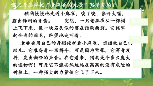16 麻雀   课件