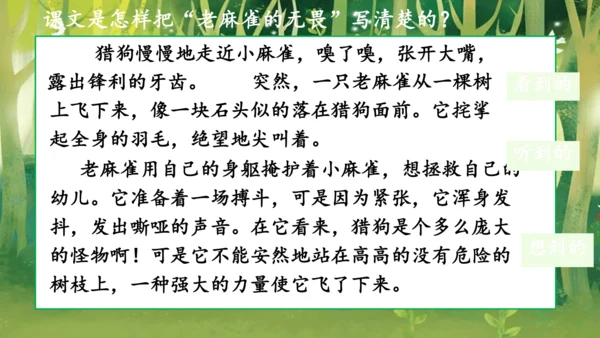 16 麻雀   课件