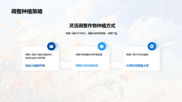 揭秘小满农业