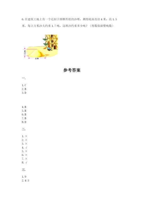 苏教版六年级数学小升初试卷及完整答案（有一套）.docx