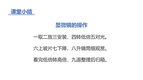 【核心素养目标】2.1.1《练习使用显微镜》课件(共42张PPT)