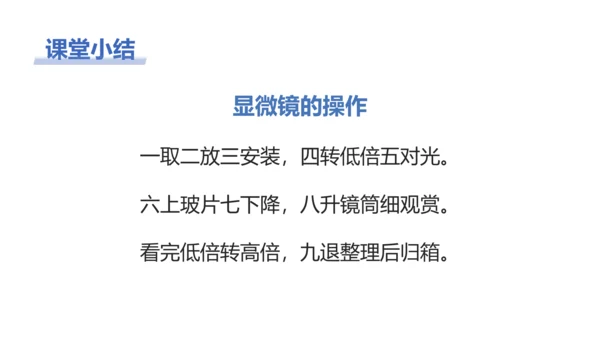 【核心素养目标】2.1.1《练习使用显微镜》课件(共42张PPT)