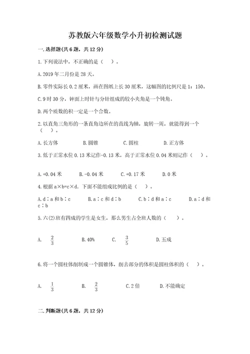 苏教版六年级数学小升初检测试题通用