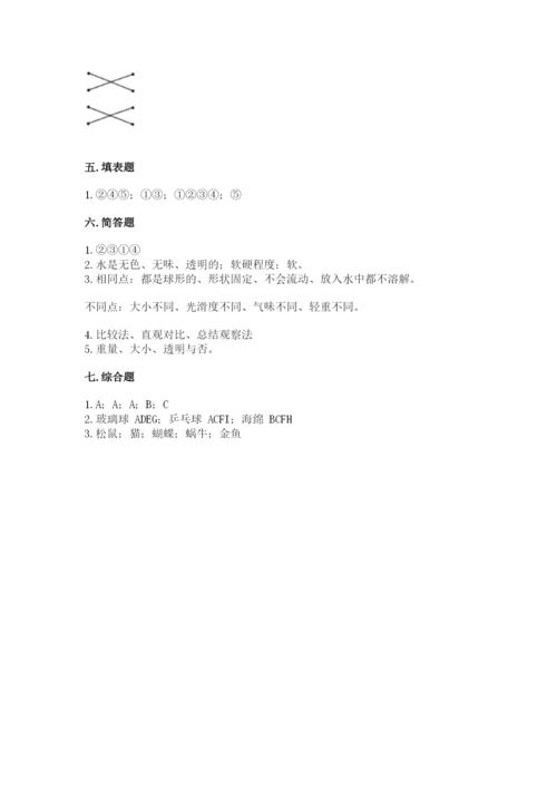 教科版小学科学一年级下册期末测试卷含答案（培优b卷）.docx