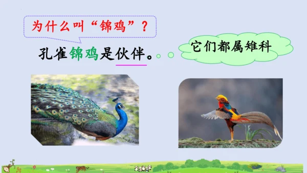 3拍手歌   课件
