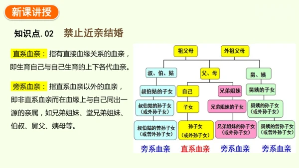 7.2.3基因的显性和隐性-八年级生物人教版下学期同步精品课件(共36张PPT)