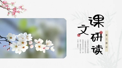 浅色小清新最苦与最乐初中语文七年级下册PPT说课课件初中语初中语文七年级下册课件