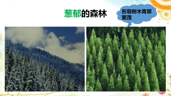 8《彩色的梦》课件