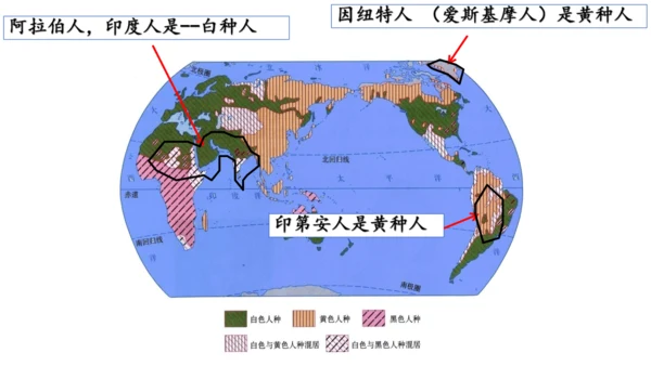 人文地理（人教版）七年级上册 人口人种与语言宗教专题课件