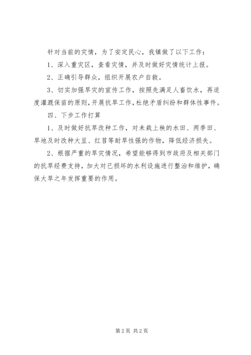 乡镇旱灾情况工作汇报.docx