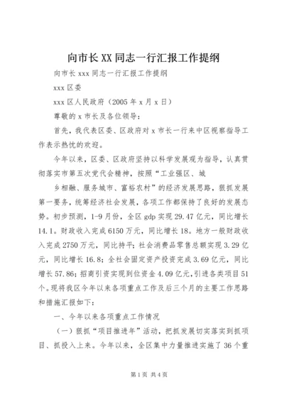 向市长XX同志一行汇报工作提纲 (3).docx