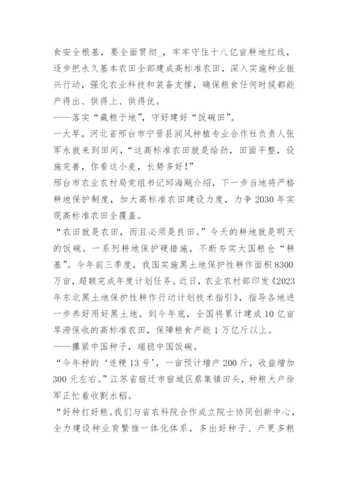 2022形势与政策粮食安全论文十篇.docx