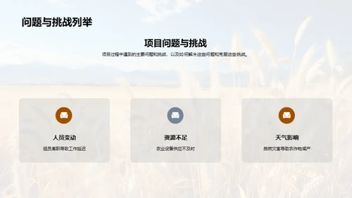 农业项目经验解析