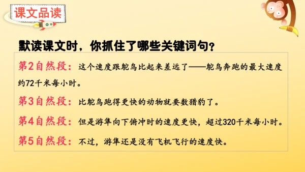 7 什么比猎豹的速度更快    课件