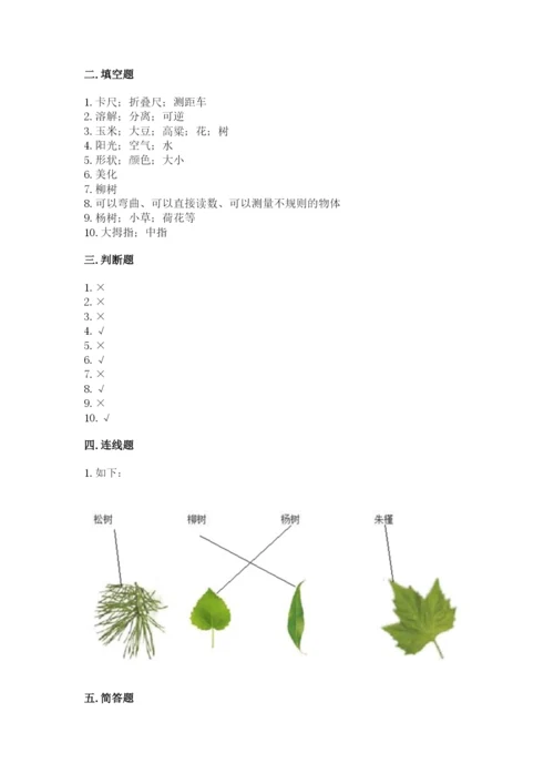 教科版一年级上册科学期末测试卷a4版打印.docx