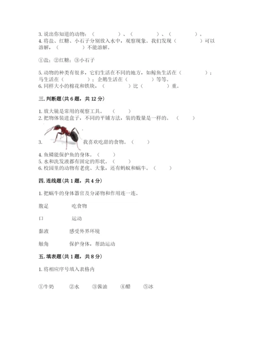 教科版小学科学一年级下册期末测试卷附答案（轻巧夺冠）.docx