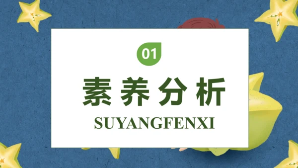 【核心素养】部编版语文二年级下册-13. 画杨桃 第1课时（课件）
