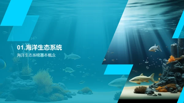 海洋生态：我们的责任