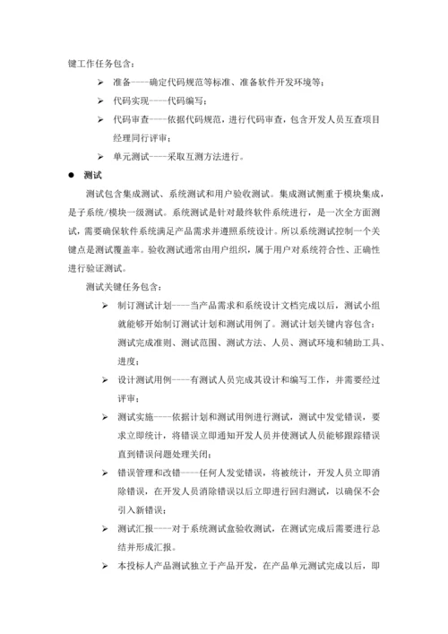 软件开发专项方案和实施安排.docx