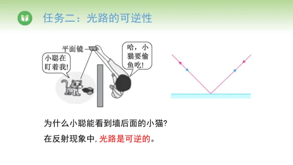 2024-2025学年人教版物理八年级上册4.2光的反射课件（19页ppt）