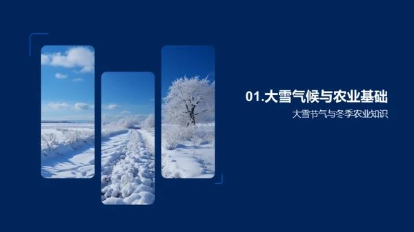 大雪节气农业指南