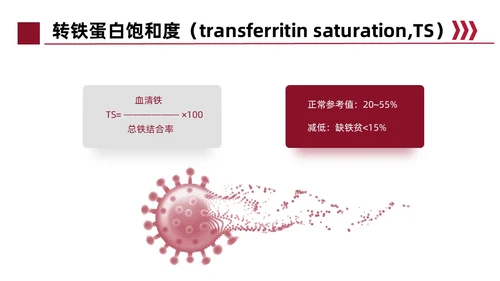 红色简约风缺铁性贫血常规知识培训PPT模板护理
