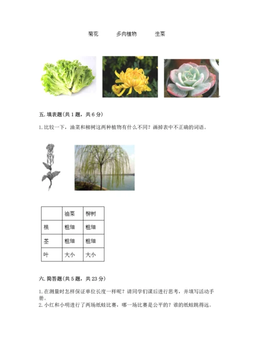 教科版一年级上册科学期末测试卷精品（有一套）.docx