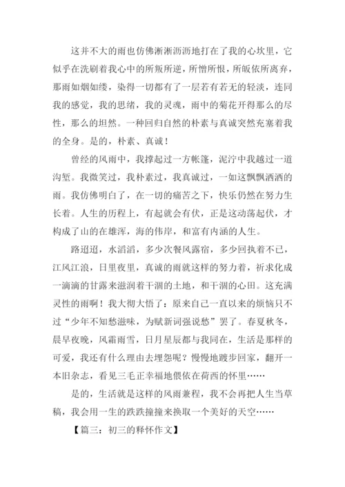 关于释怀的作文.docx