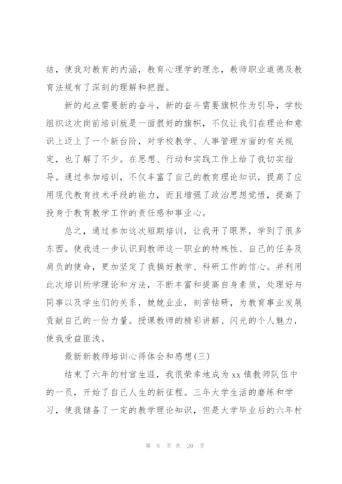 新教师培训心得体会和感想.docx