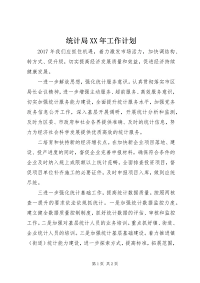 统计局XX年工作计划.docx