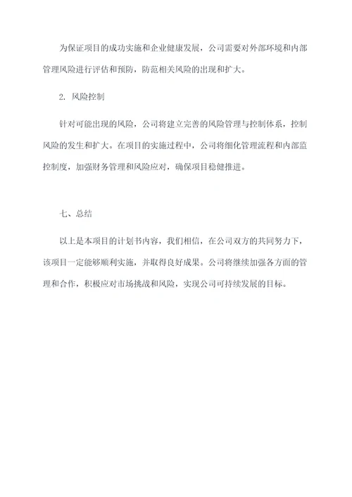 合资公司项目计划书