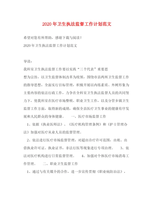 精编之年卫生执法监督工作计划范文.docx