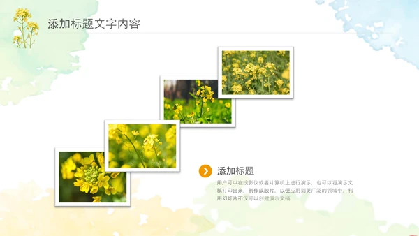 春天乡村旅游油菜花风景油菜花田PPT模板