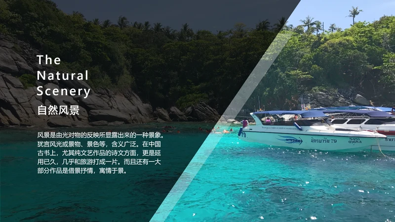 简约风自然风景并列关系1项PPT图文页