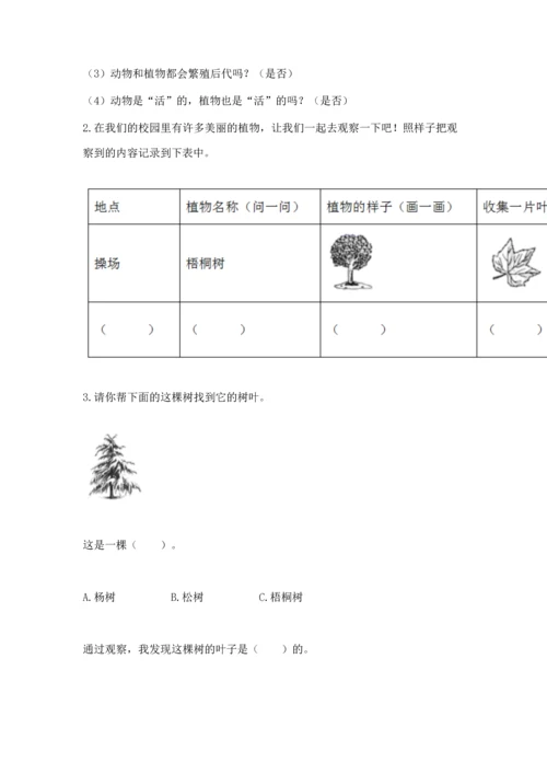 教科版科学一年级上册第一单元《植物》测试卷（易错题）.docx