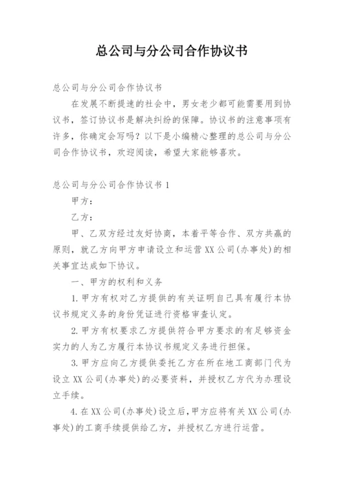 总公司与分公司合作协议书.docx