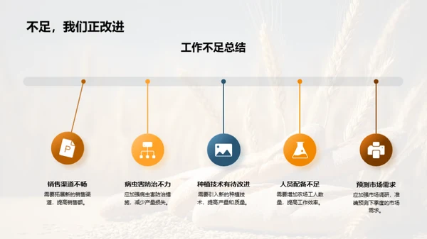 农场收获与前景规划