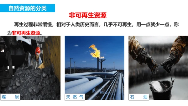3.1 自然资源的基本特征（课件38张）-人教版八年级地理上册