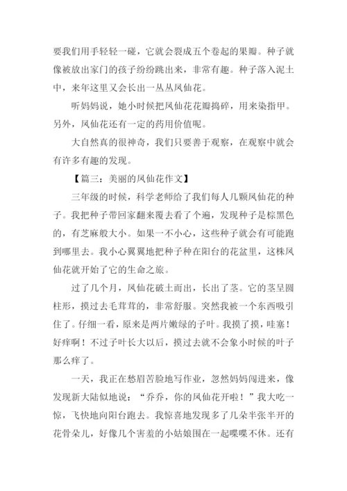 美丽的凤仙花作文.docx