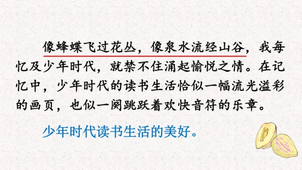 第26课 《 我的“长生果”》  课件