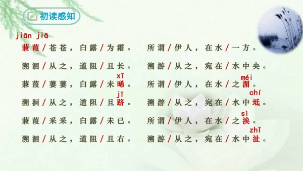 第12课《诗经二首》课件(共51张PPT)