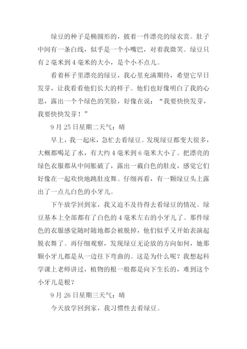 四年级作文观察日记-1.docx