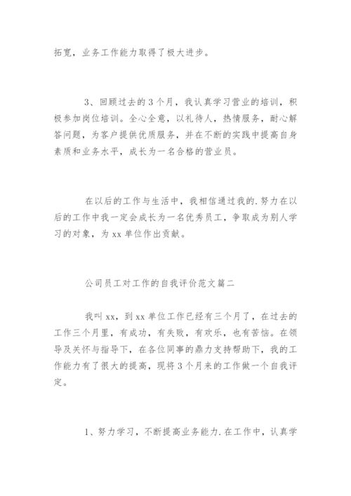 公司员工对工作的自我评价.docx