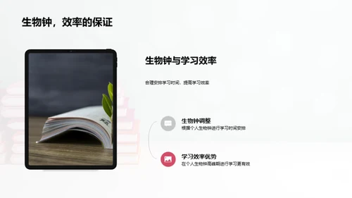 提升学习效率策略