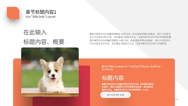 宠物乐园萌宠小狗主题通用PPT模板