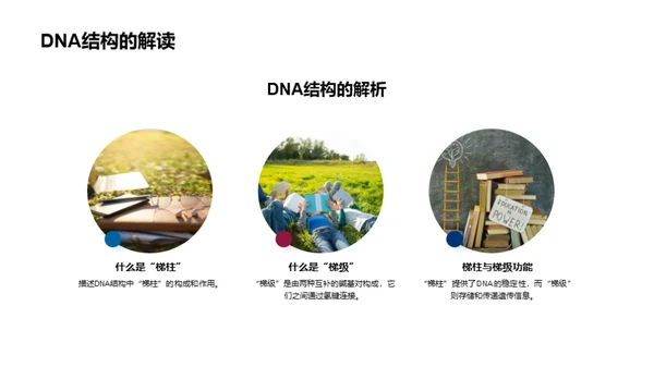 DNA探秘之旅