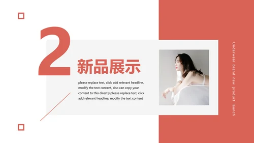 女性内衣品牌产品发布会通用PPT模板