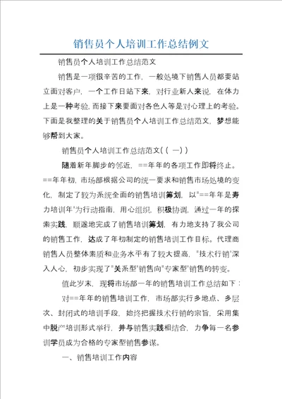 销售员个人培训工作总结例文