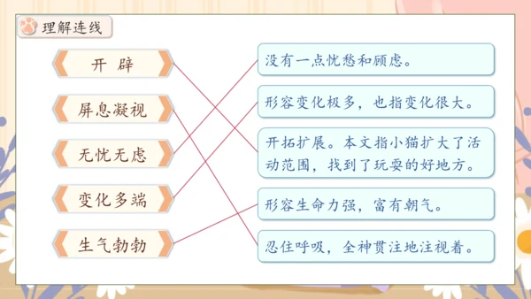 【核心素养】部编版语文四年级下册-13.猫 第1课时（课件）